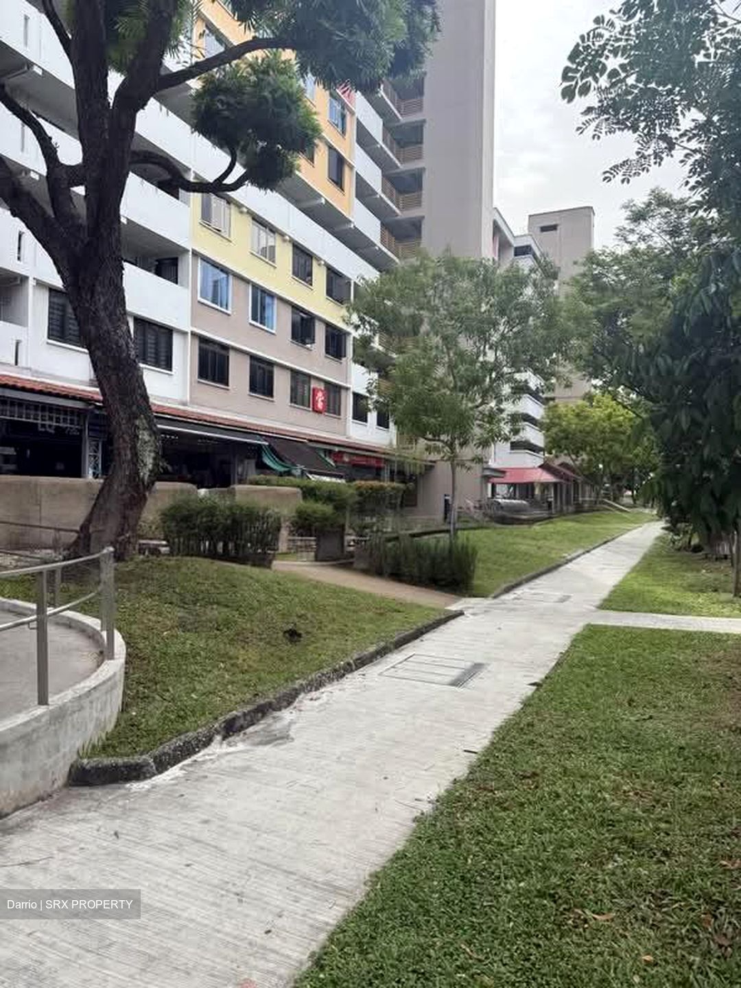 Hougang Avenue 8 (D19), Shop House #592839601